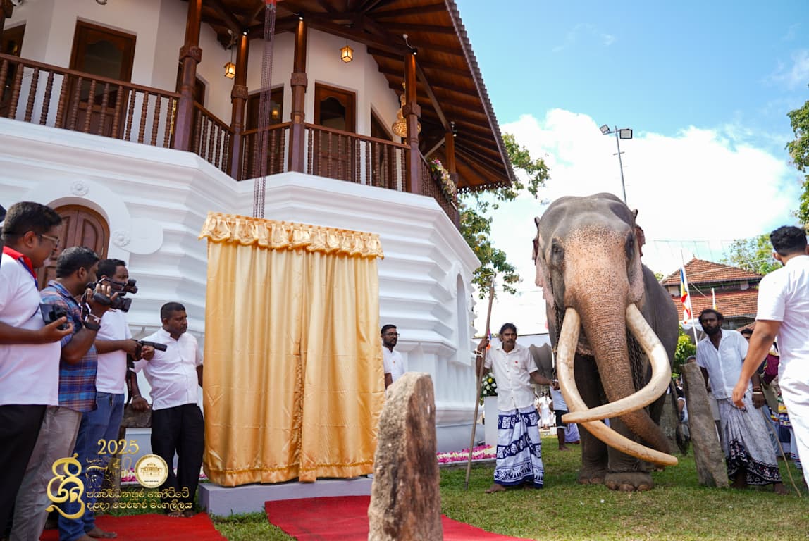 Tusker Image 6