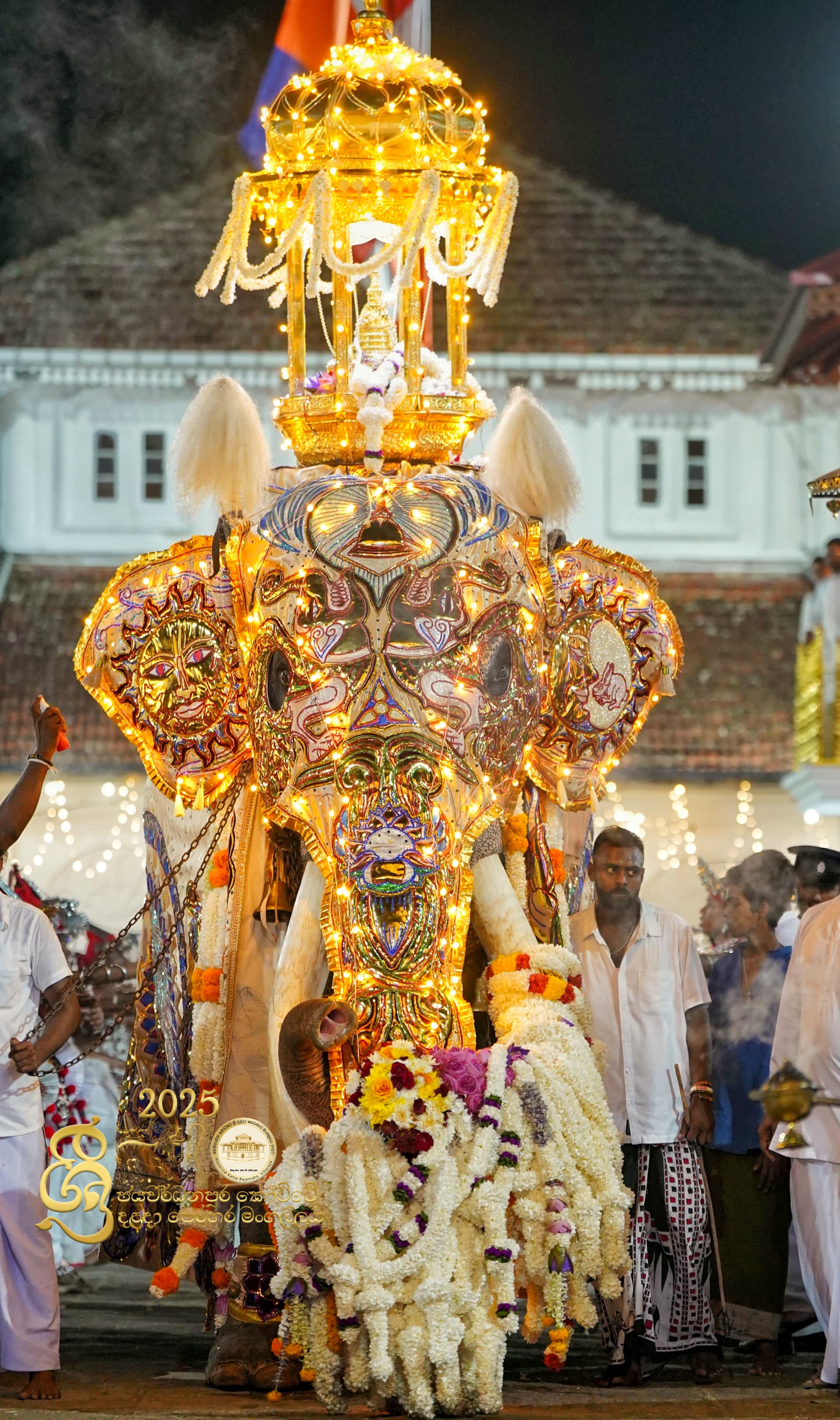 Tusker Image 13