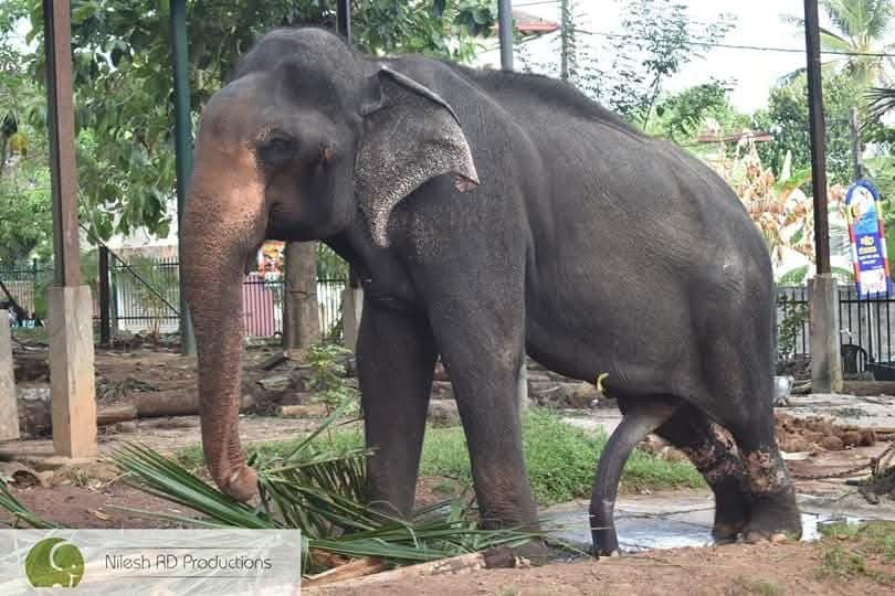 Surathala / Ralahami